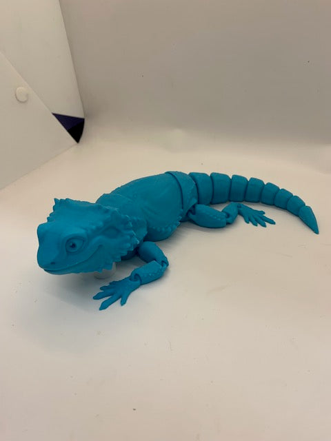 Bearded Dragon