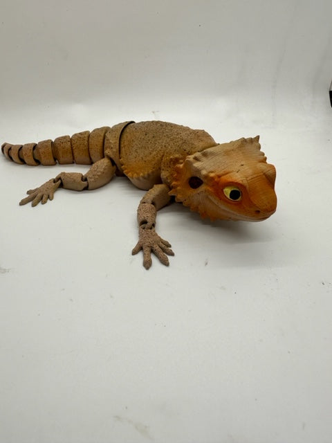 Bearded Dragon