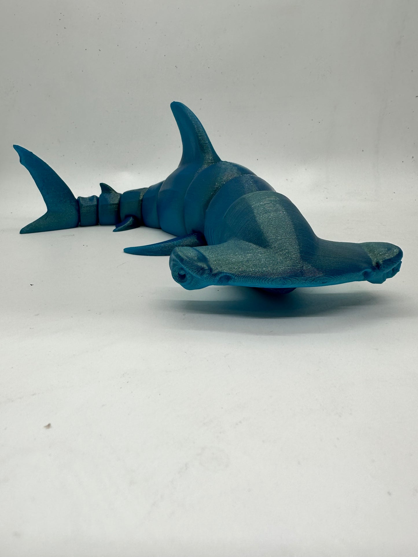 Hammer Head Shark